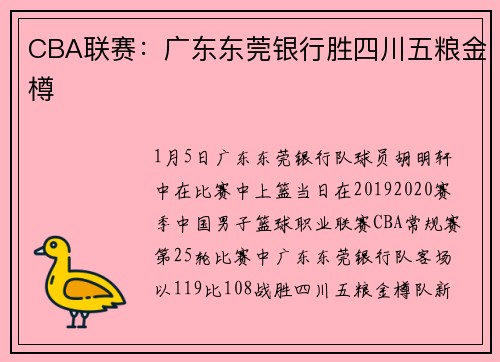 CBA联赛：广东东莞银行胜四川五粮金樽